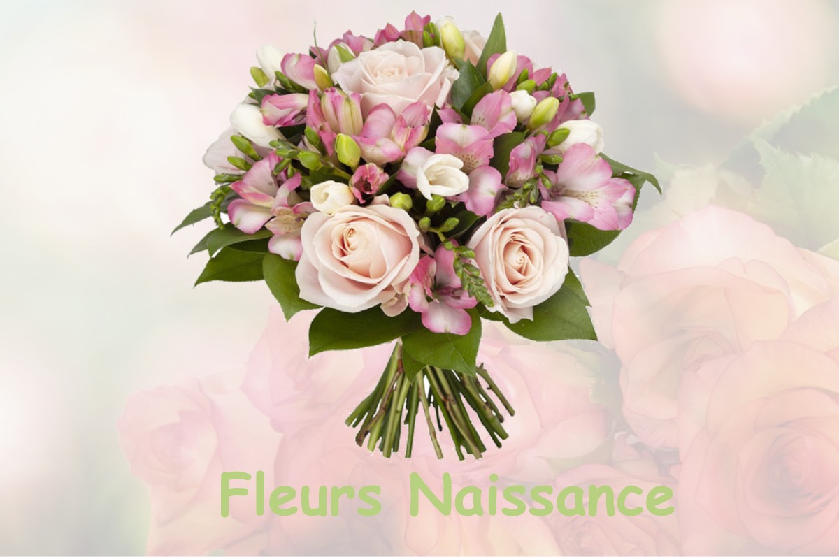 fleurs naissance FONTAINEBRUX