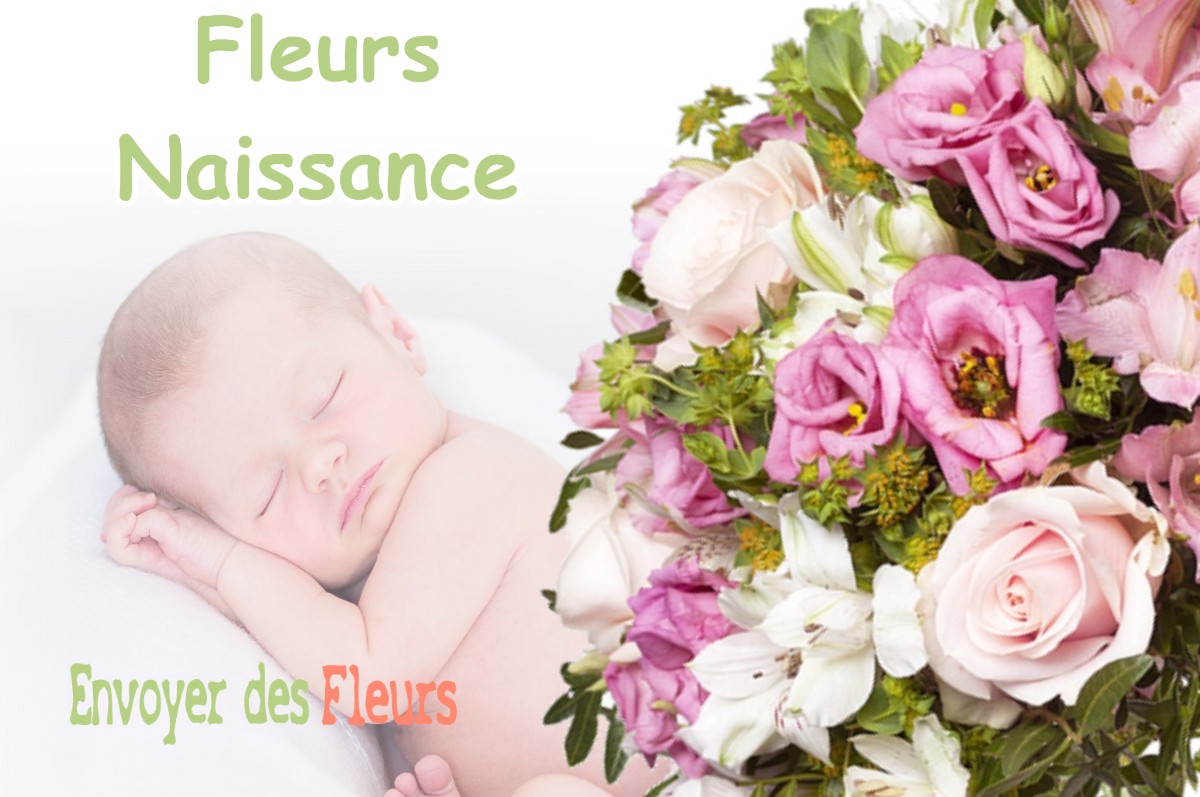 lIVRAISON FLEURS NAISSANCE à FONTAINEBRUX